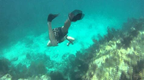 Marathon Florida Sombrero Reef Snorkeling Youtube