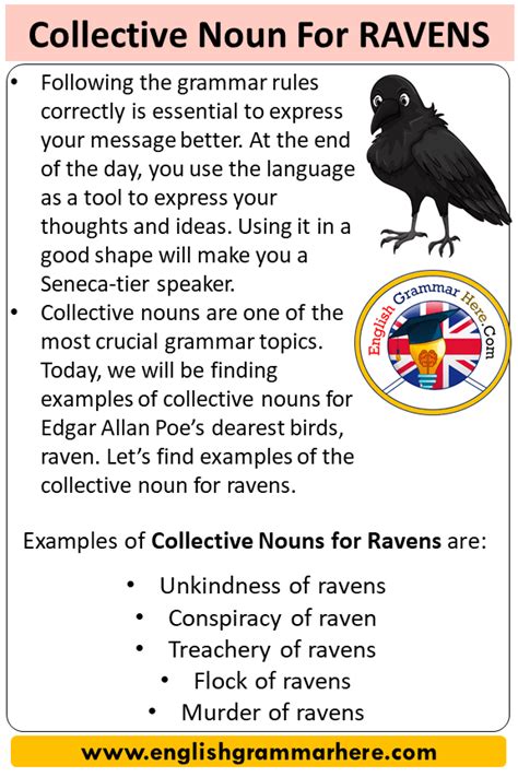 collective noun for ravens collective nouns list ravens english grammar here