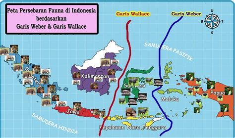 Check spelling or type a new query. Peta Gambar Persebaran Fauna Di Indonesia