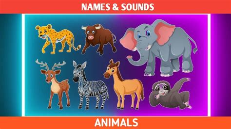 Jurulatih utama bahasa arab sekolah sequences of two or three english phonemes were used to simulate those phonemes that are. Mengenal Nama Haiwan & Bunyi haiwan dalam Bahasa English ...