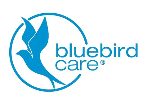 Bluebird Logo Blue On White1
