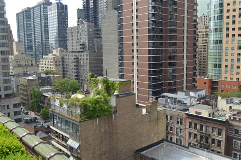 Photos Of An Amazing Rooftop View In New York City — Go