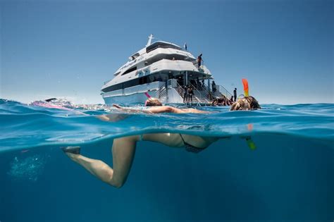 Full Day Outer Great Barrier Reef Cruise And Snorkelling Tour
