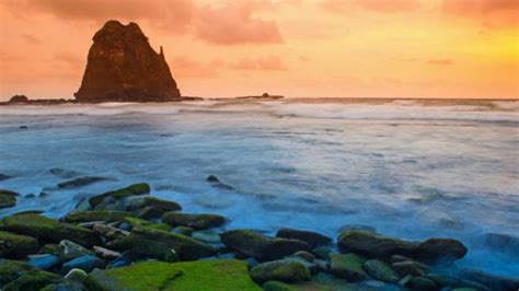 Bahasa jawa merupakan bahasa daerah terbesar pertama yang di indonesia, yang tentu harus kita lestarikan keberadaannya. Terjemahan Bahasa Bali ke Jawa | Blog Ling-go