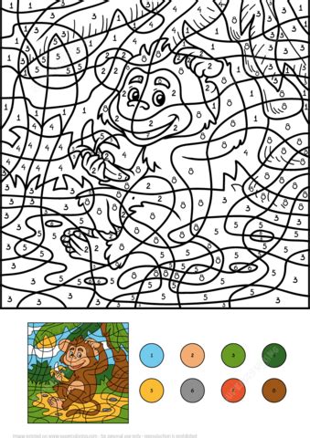 Imprimir Dibujos Para Colorear Con Numeros Para Adultos - Dibujos Para