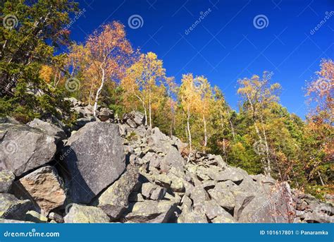 Autumn On The Rocky Mountains Stock Image Image Of Mountain Beauty