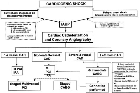 Cardiogenic Shock Complicating Acute Myocardial Infarction Circulation