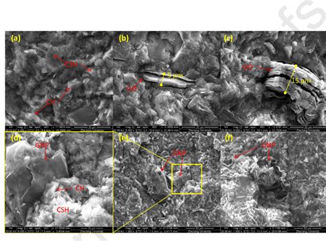 Selective SEM images of the NGA-cement composites: (a) the reference