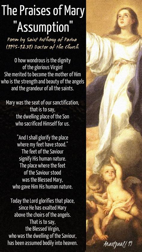 Our Morning Offering 17 August The Praises Of Mary Assumption