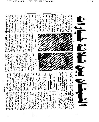 Is the ligature mark on the skin. A Page of Faxed Arabic Text Another problematic feature of ...