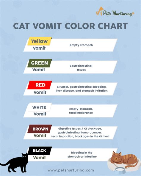 Cat Vomit Color Chart What Does Each Color Mean