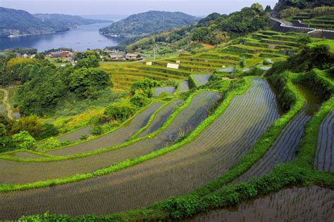 An Agricultural Wonder Japans Vanishing Terraced Rice Fields Photos