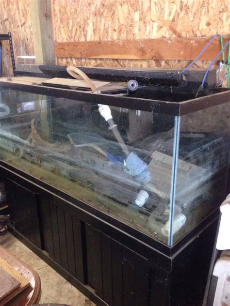 210 Gallon Glass Aquarium And Accessories For Sale