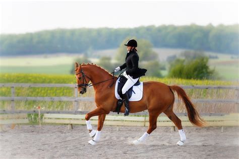 1680x10502019717 Horse Rider Equestrian 1680x10502019717 Resolution