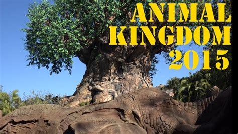 Animal Kingdom 2015 Orlando Florida - YouTube