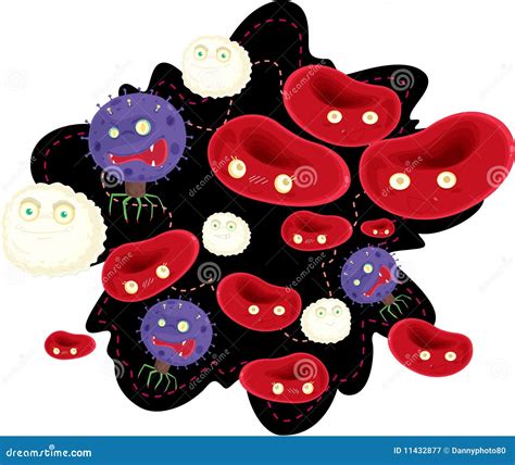 Blood Cells Stock Vector Illustration Of Cells Cartoon 11432877