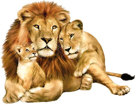 Lion Free Png Image Png Arts