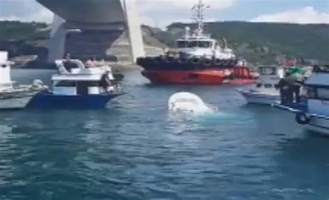 Eren bülbül'ün hayatını kaybetmesinin ardından sosyal medya hesaplarına göz. İstanbul Boğazı'nda gemi ile tekne çarpıştı
