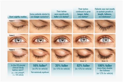 Lash Fullness Chart Double Eyelashes Vs Normal Free Transparent
