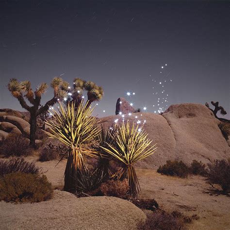 Light Painting And Landscape Photography Jumbo Rock Joshua Tree