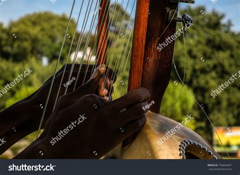 2118 Imágenes De African String Instruments Imágenes Fotos Y