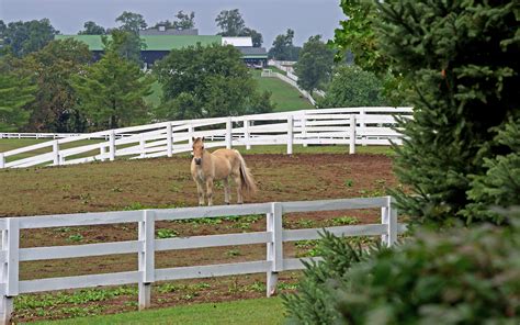Visita Kentucky Horse Park En Lexington Expediamx