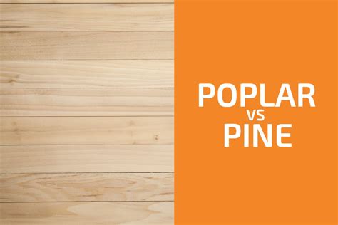 Poplar Vs Pine Which One To Use Handymans World