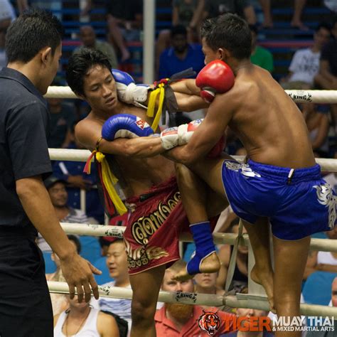 fighting thai tiger muay thai and mma training camp guest fights august 14 2013