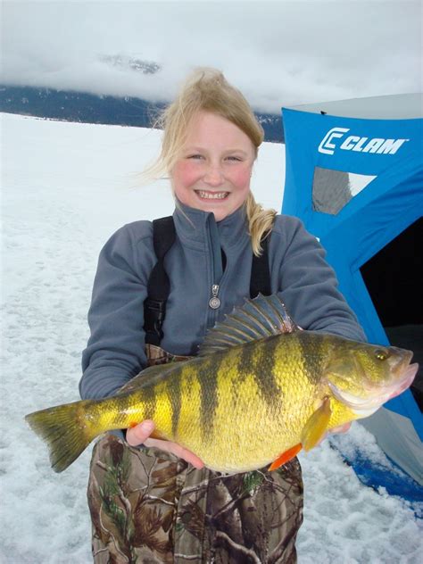 New World Record Yellow Perch Caught By 12 Year Old Girl Curt Snows