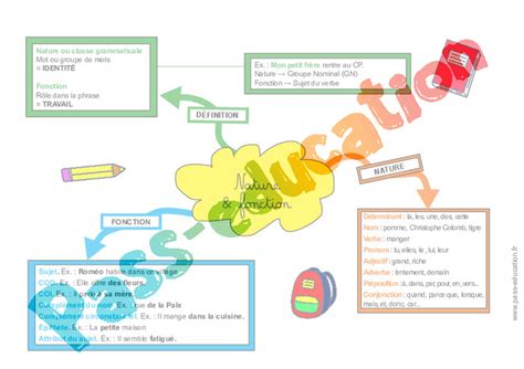 Nature et fonction Carte mentale à co construire 4eme 5eme