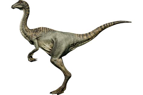 Velociraptor Jurassic Park Gallimimus Dinosaur Isla Nublar Jurassic World Fallen Kingdom