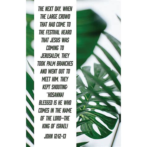 Blessed Is The King Of Israel Bulletin Pkg 100 Palm Sunday Lifeway