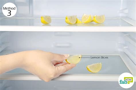 Rinse the fish repeatedly to get stubborn dirt out. How to Remove Odor from Refrigerator Using Just 1 ...