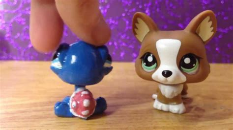 Littlest Pet Shop Custom Pets Are Here Youtube