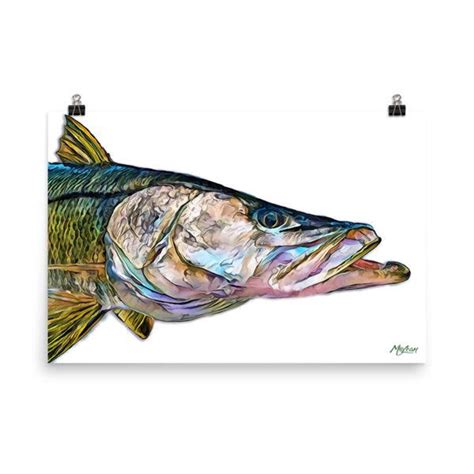 Snook Fish Wall Art Print Fishing Ts For Men Women Etsy