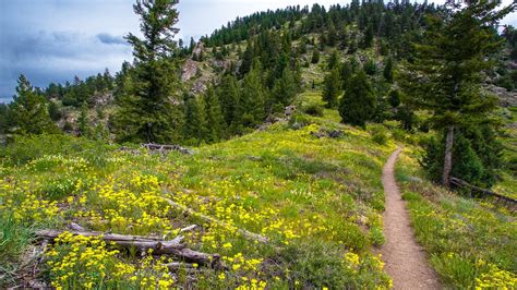 11 Des Plus Grands Sentiers De Randonnée De Boulder Meilleures