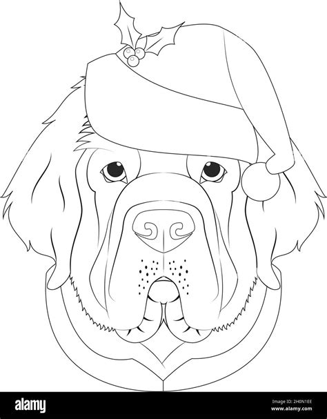 Christmas Greeting Card For Coloring Newfoundland Dog With Santas Hat