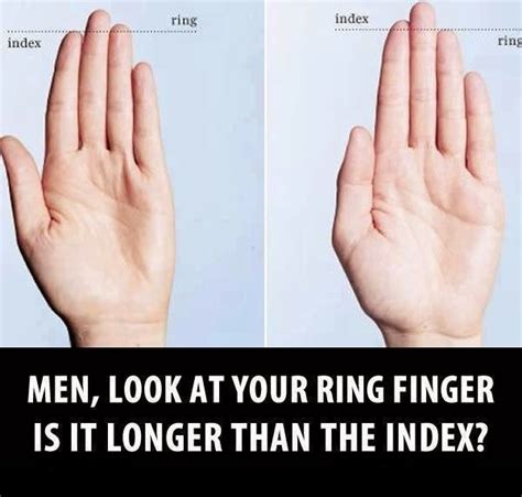 awesome quotes men look at yourself and now look at your ring finger is it longer than the