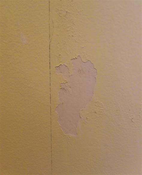 The wallpaper trend is going strong. Download Can You Paint Over Wallpaper Glue Residue Gallery