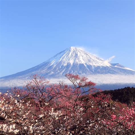 Mount Fuji Wallpapers - Wallpaper Cave
