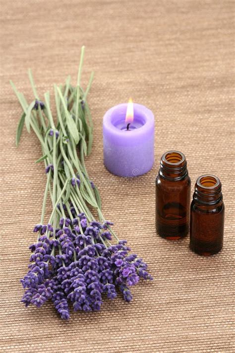 Lavender Aromatherapy Stock Photo Image Of Lotion Relax 5624854