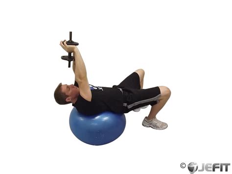 Dumbbell Pullover Hip Extension On Exercise Ball Exercise Database