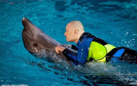 Ruošiantis pasirodymui R Vyšniauską sužalojo delfinas DELFI Veidai