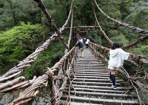 The Vine Bridges Of Iya Valley In Shikoku Japan