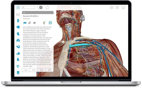 Human Anatomy Atlas Visual 3d Gross And Micro Anatomy Atlas