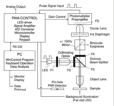 Block Diagram Of Microscopy Pam Chlorophyll Fluorometer See Text For