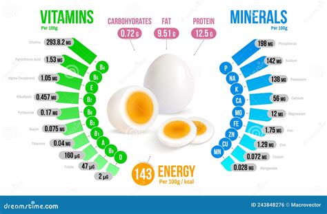Egg Nutrients Infographics Diagram Stock Vector Illustration Of