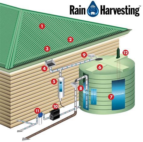 Rain Water Collector Rainwater Collection A Complete Guide To