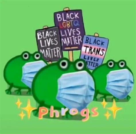 Blm Frogs Frog Meme Amazing Frog Frog Pictures