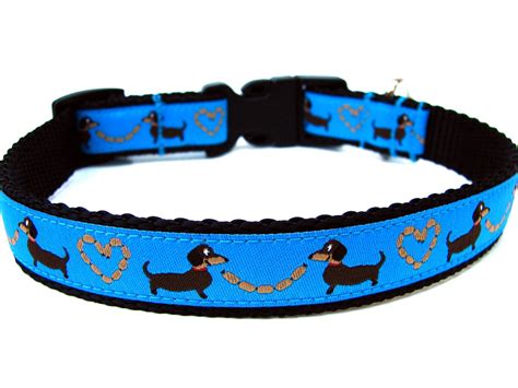 Dachshund Dog Collar 34 Blue Dog Collar Size Medium